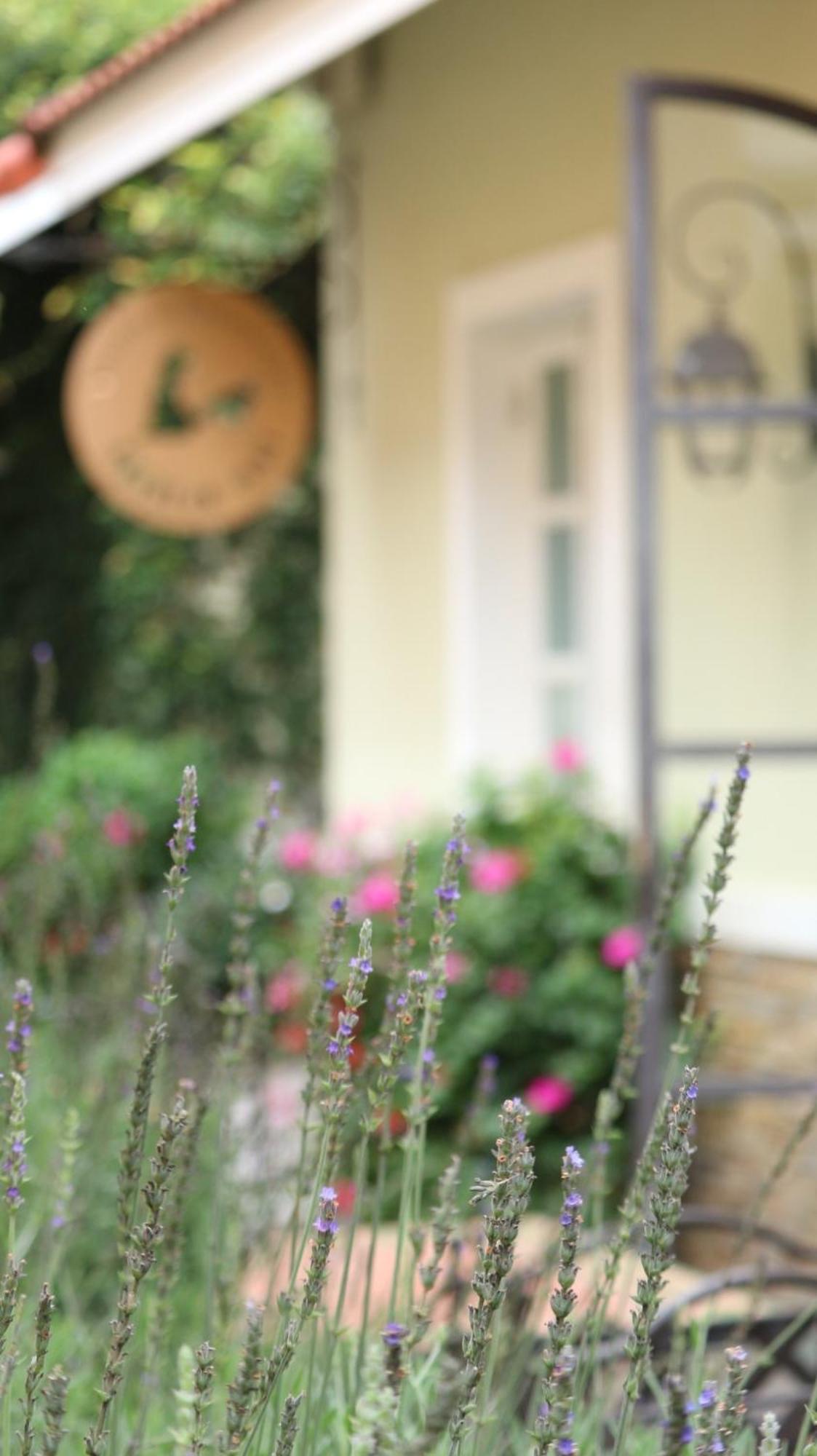 Отель Bich Dao Boutique - Dalat Экстерьер фото